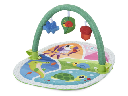 Chicco Toy New 3in1 Activity Gym Online now